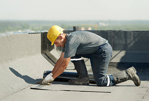 Best Cellulose Insulation in Richboro, PA